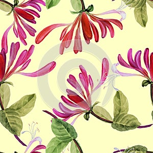 Honeysuckle - watercolor drawing reproduced in vector, background seamless pattern. photo